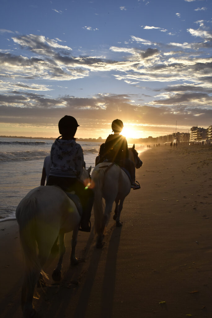 Balade cheval sur la plage